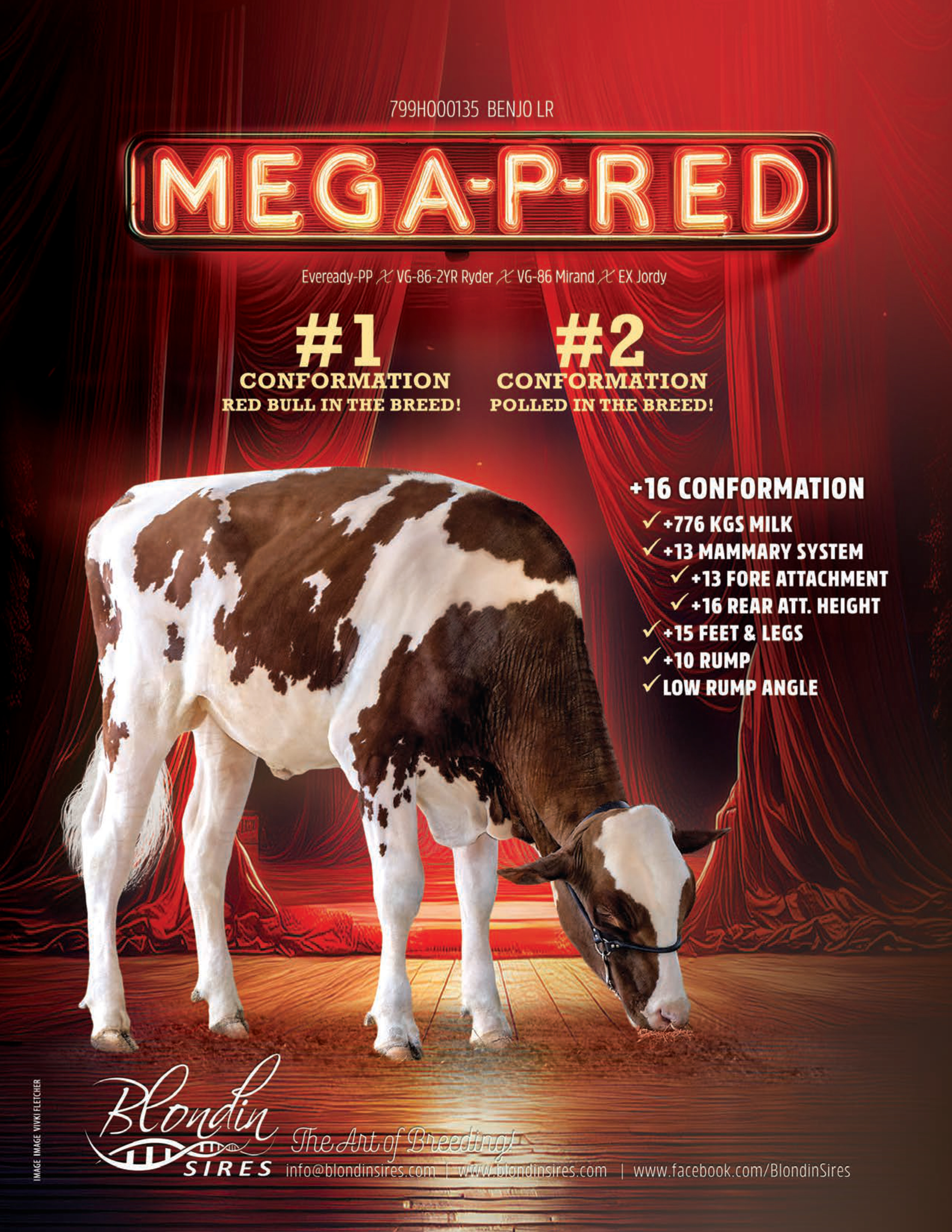 MEGA-P-RED — 799HO00135